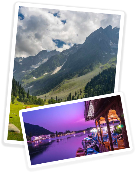 journey of Velocity Kashmir Tour and Travels