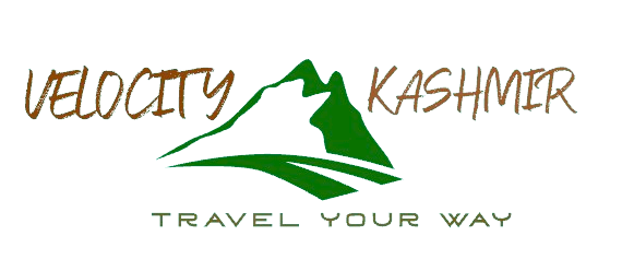 Velocity Kashmir Tour & Travels